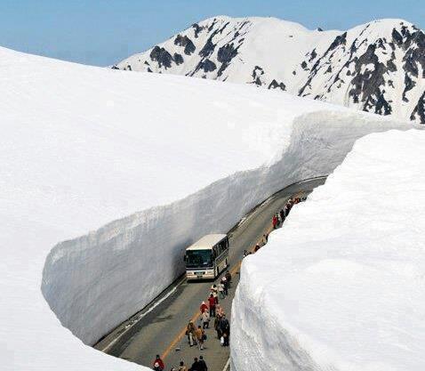 big-snow-bank.jpg