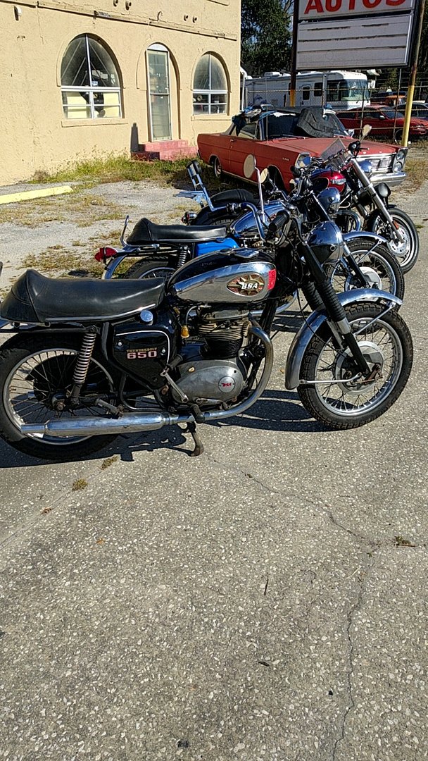 BSA 1.jpg