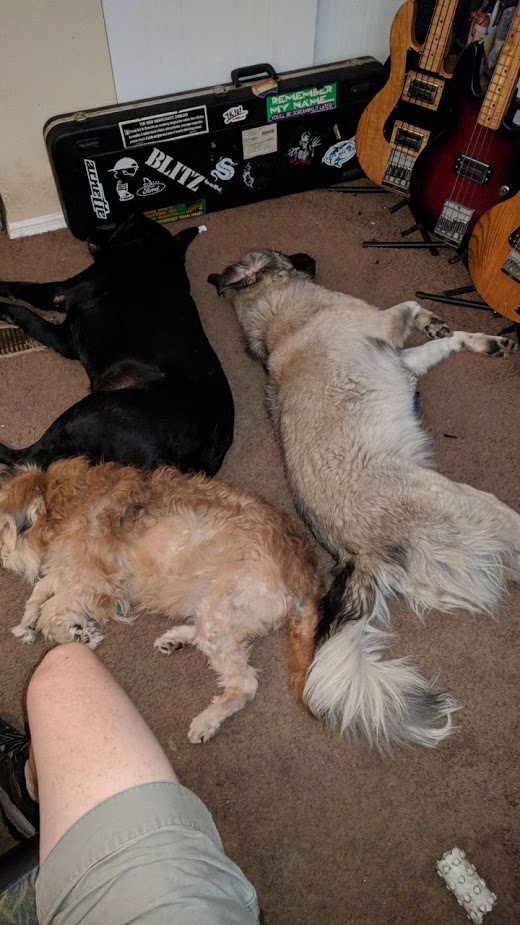 dog rug.jpg