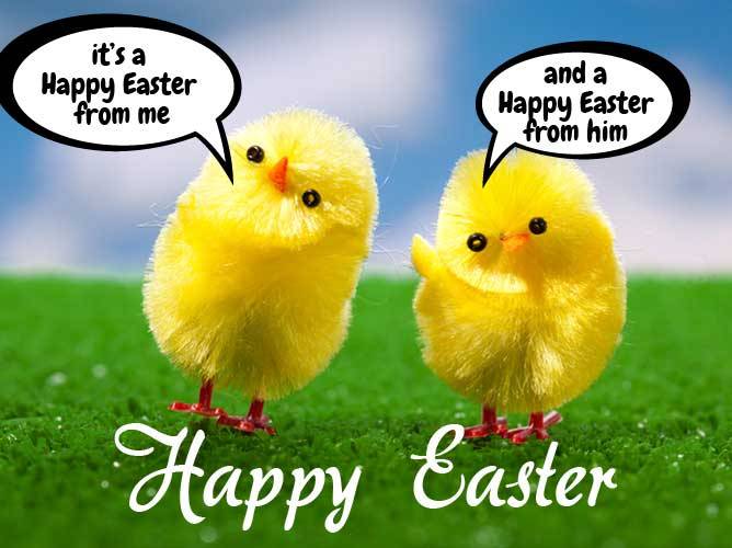 Funny-Easter-Pictures.jpg