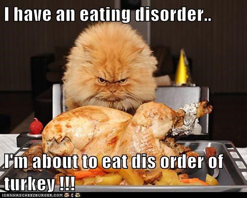 Funny-Thanksgiving-Meme-Cat-03.jpg