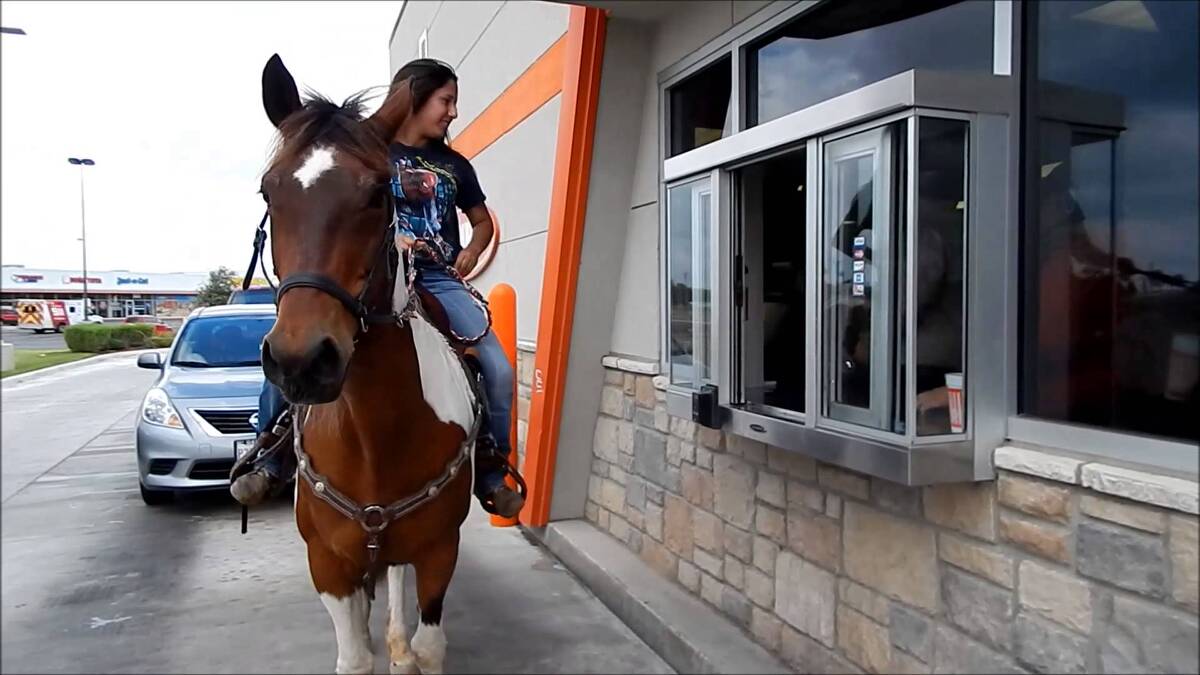 horse-at-whataburger.jpg