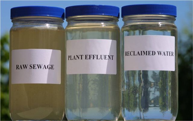 Reclaimed_Water_Jars.jpg