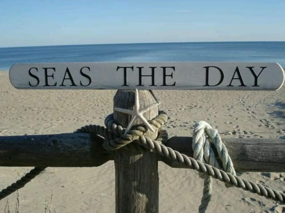 Seas the day.jpg