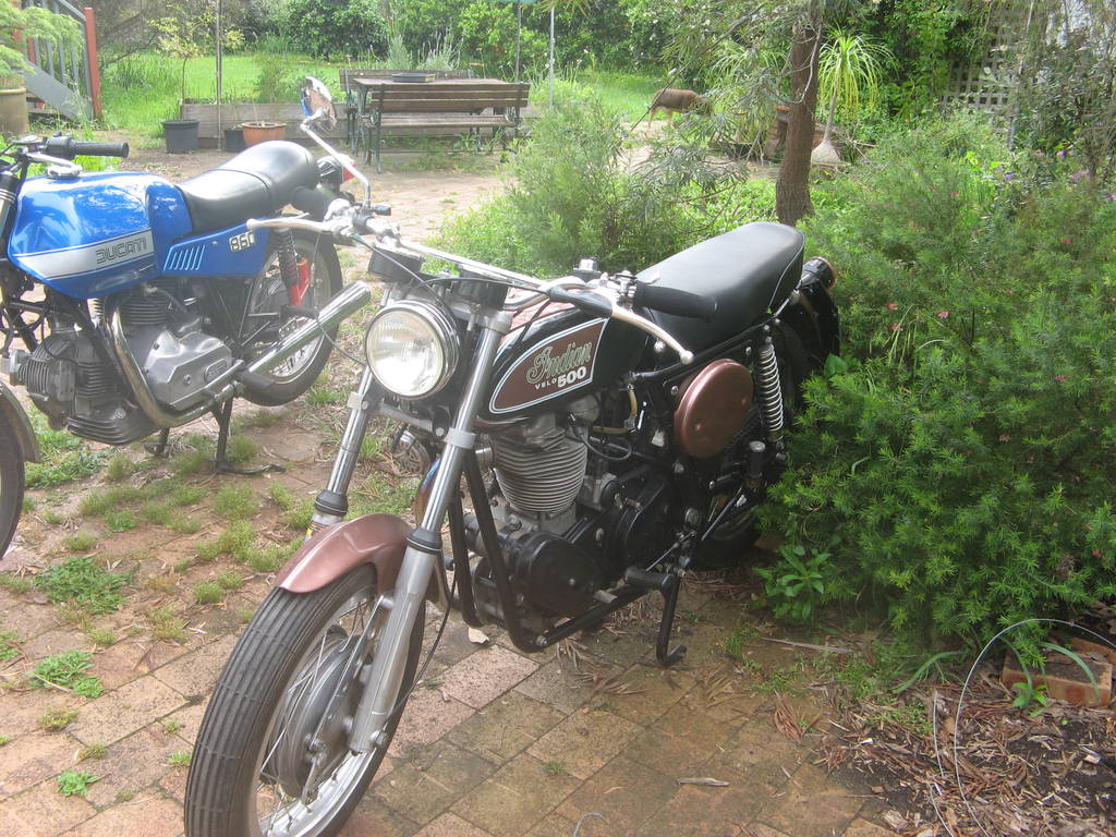 Indian Velo and Ducati in the garden