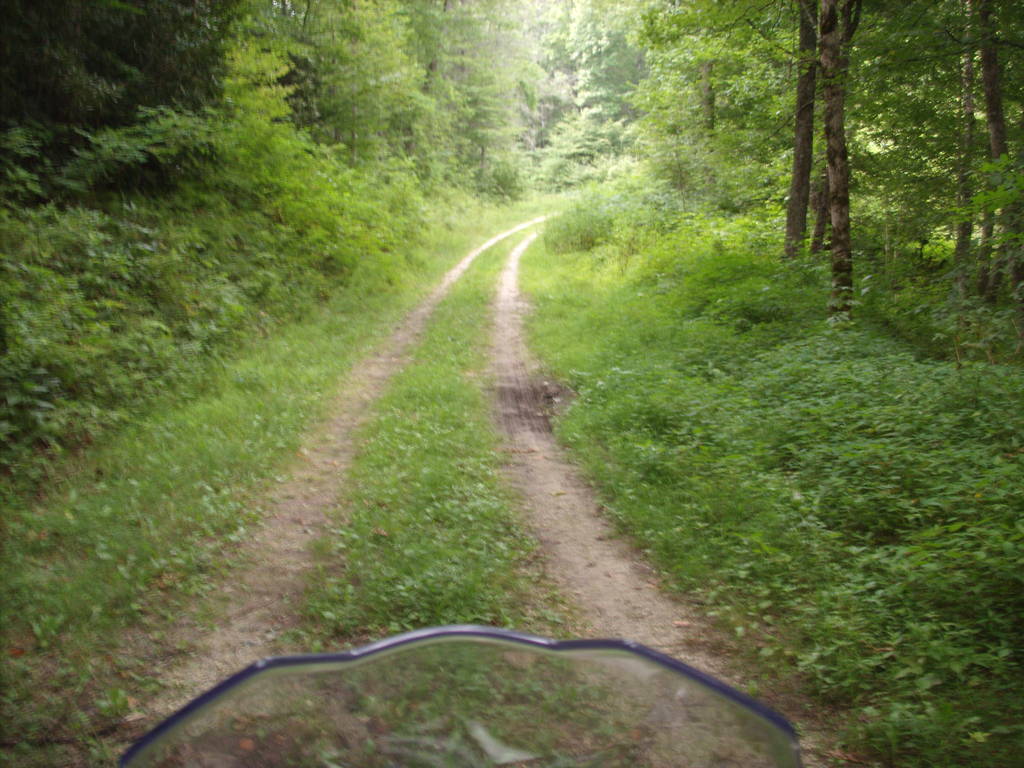 Nantahala National Forest, 13 Aug 2011