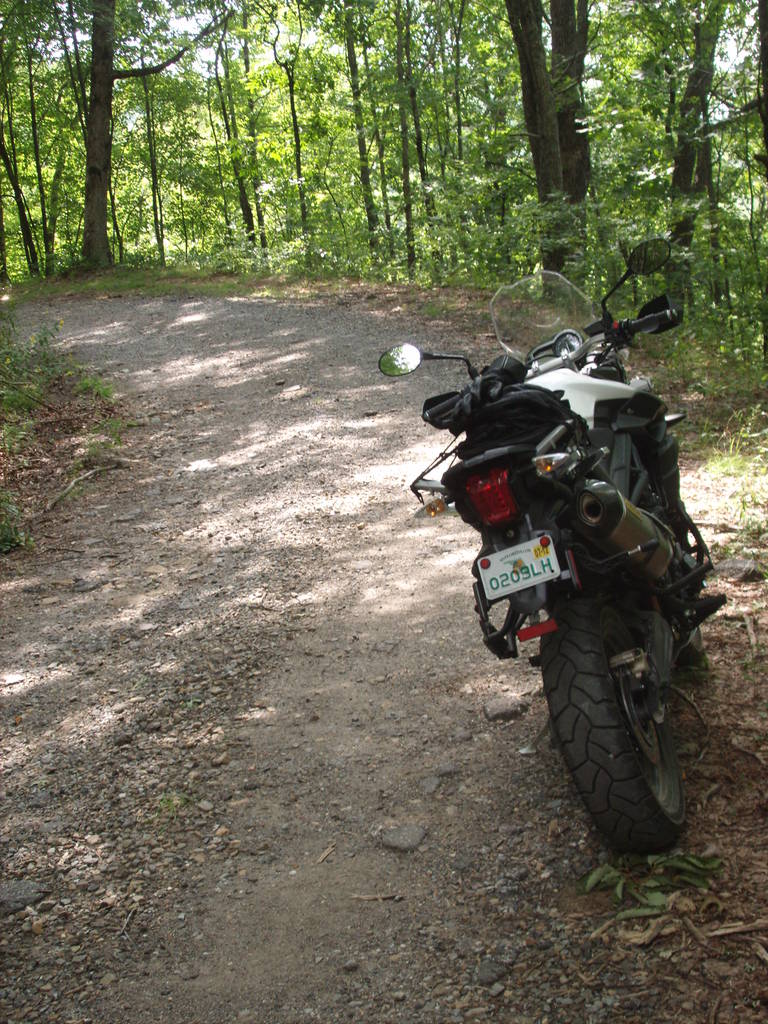 Nantahala National Forest, 13 Aug 2011