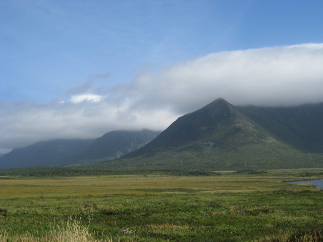 Newfoundland 2011