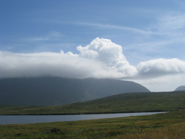 Newfoundland 2011